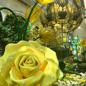 Rose jaune géante devant une montgolfière dorée suspendue au Bellagio Conservatory à Las Vegas