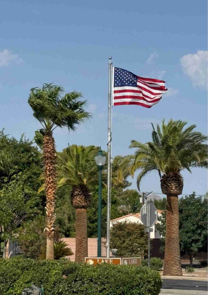Drapeau américain flottant sur un mât, entouré de palmiers.