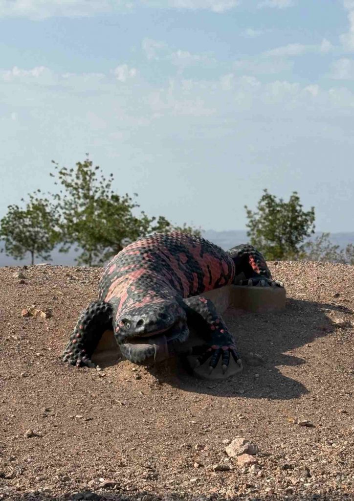 Grande sculpture du monstre de gila posée sur un sol de gravier, avec des arbres en arrière-plan