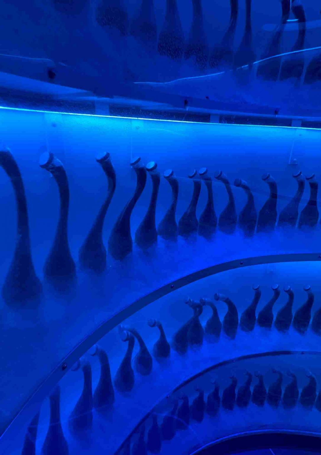 Couloir bleu rempli de bouteilles dans l’univers immersif de Omega Mart