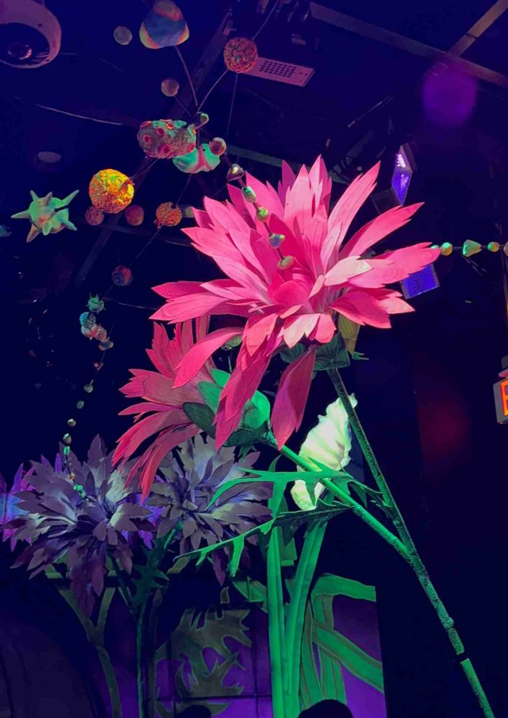 Grandes fleurs fluorescentes dans un décor immersif de Omega Mart